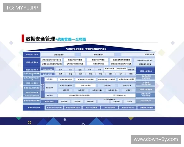 监管框架优化数据合规流程，强化用户隐私保护机制。